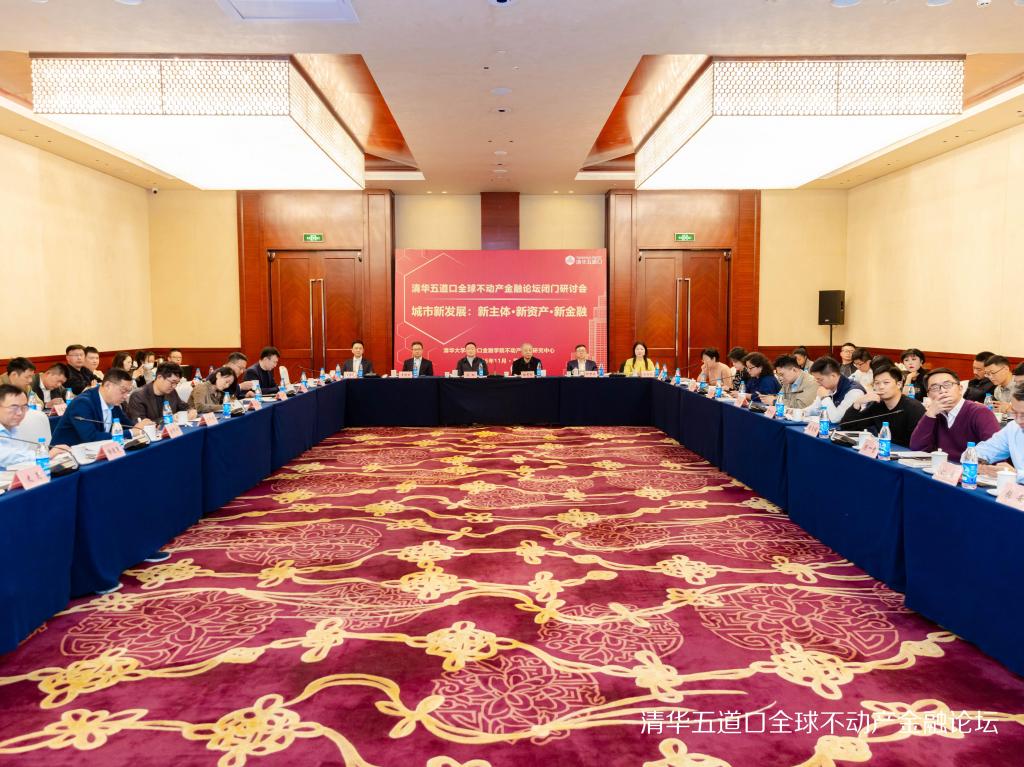 城市新发展：新主体·新资产·新金融